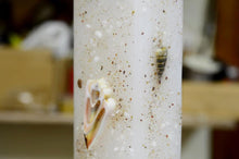 Load image into Gallery viewer, Λαμπάδα βάπτισης  με μπλε αστερίες και κοχύλια