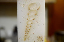 Load image into Gallery viewer, Λαμπάδα βάπτισης με  αστερίες και κοχύλια